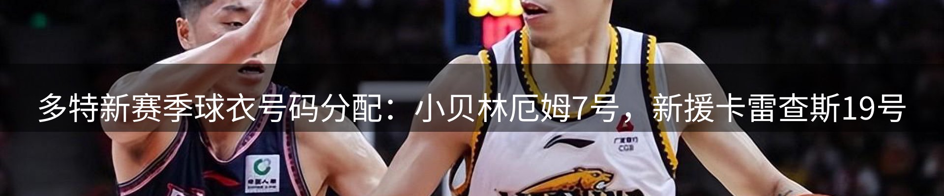 新闻资讯