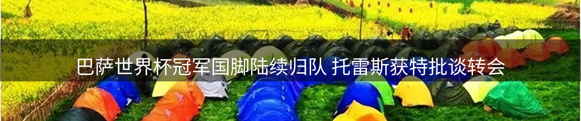 新闻资讯