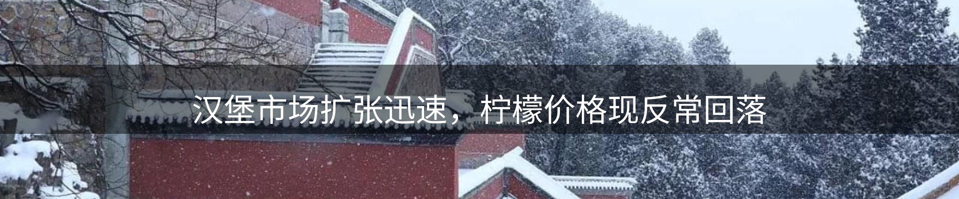 新闻资讯
