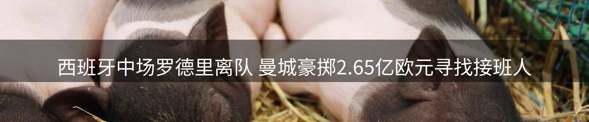 新闻资讯