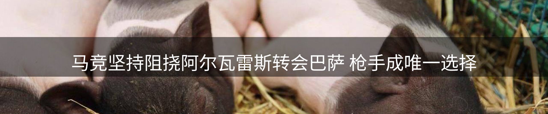 新闻资讯